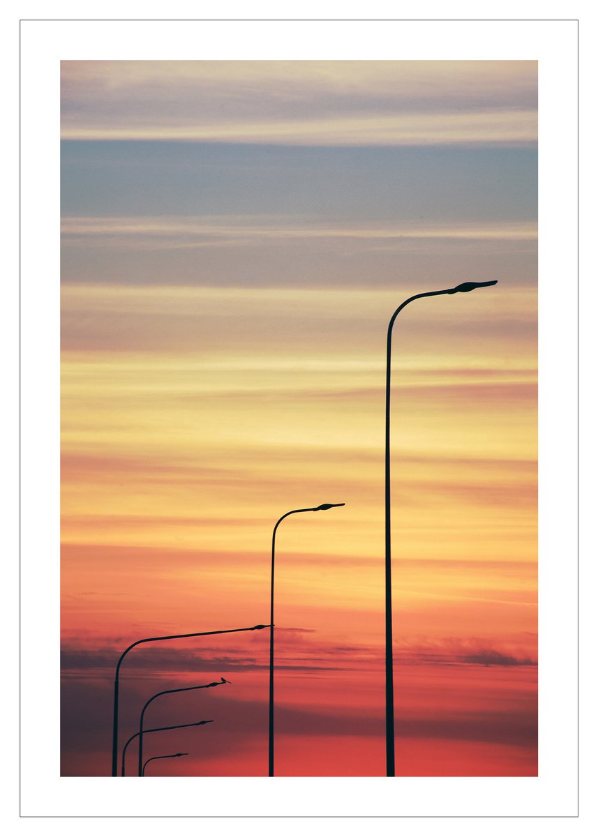 Lamp-Postscape 5 by Beata Podwysocka